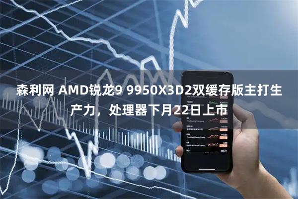 森利网 AMD锐龙9 9950X3D2双缓存版主打生产力，处理器下月22日上市